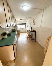 Blk 248 Gombak View (Bukit Batok), HDB 4 Rooms #635953451